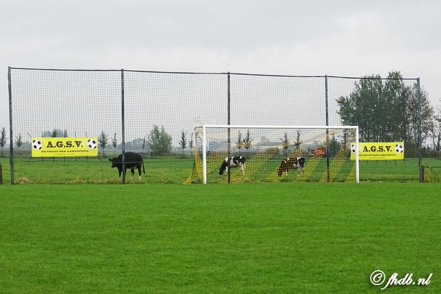 DSC02670.jpg