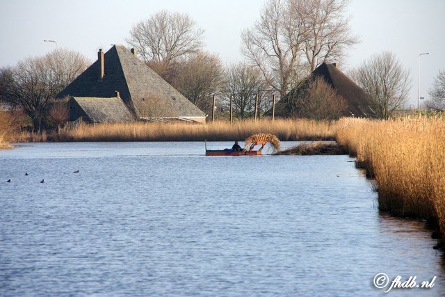 IMG_2852.jpg