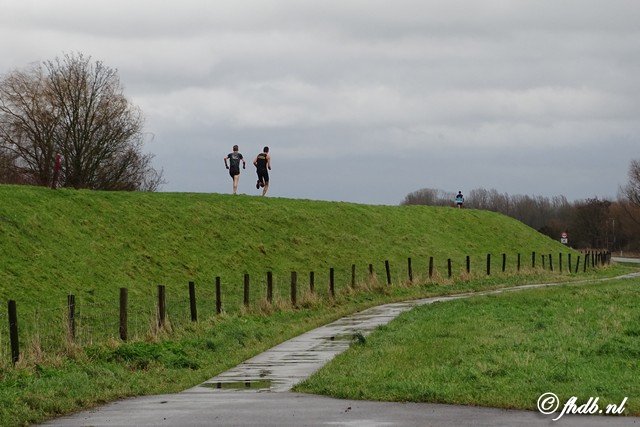 DSC08904.jpg