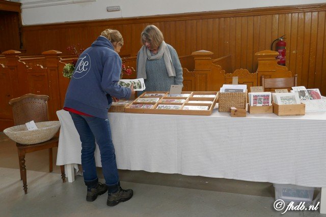 P1030439.jpg