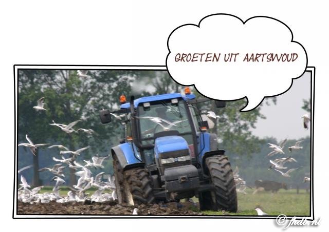60.jpg
