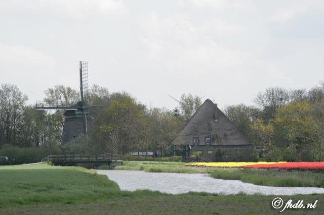 66.jpg