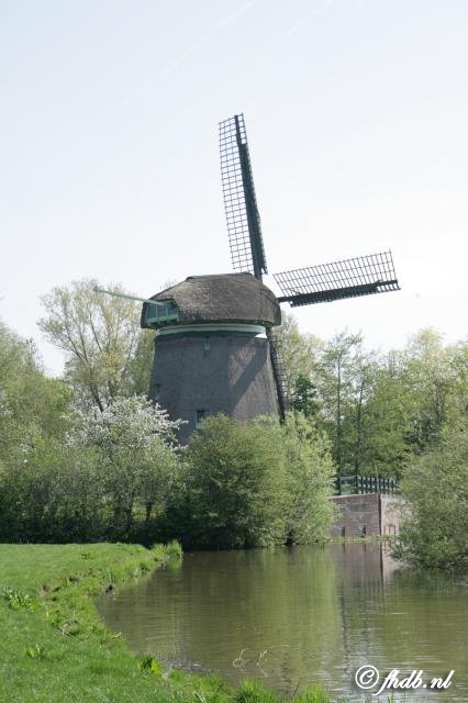 85.jpg