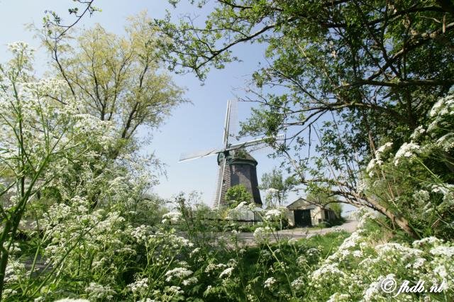 87.jpg