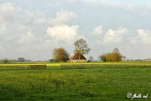 DG8A0320.jpg