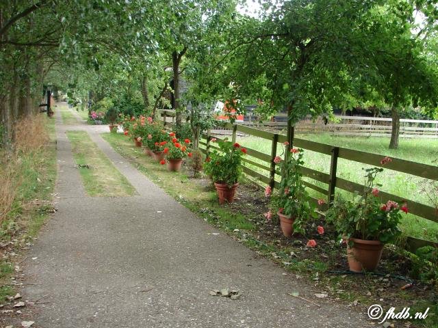 DSC01428.jpg
