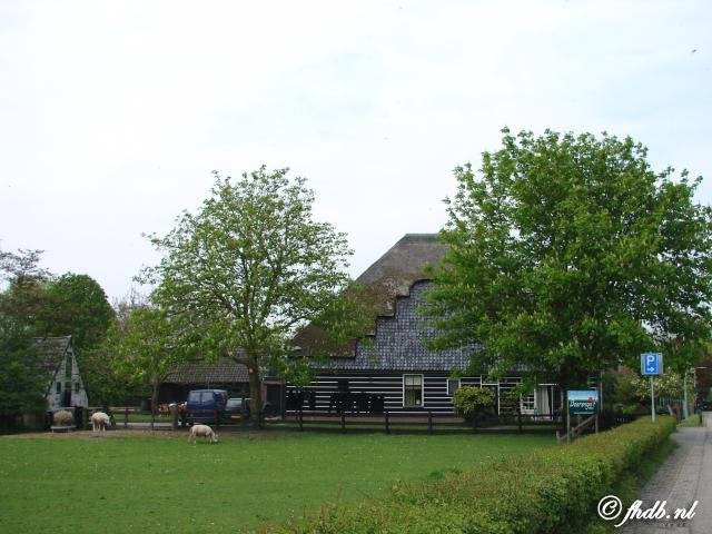 DSC07183.jpg