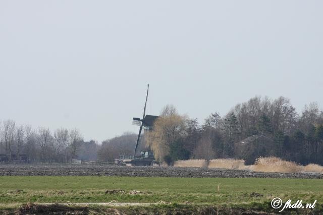 IMG_0456.jpg