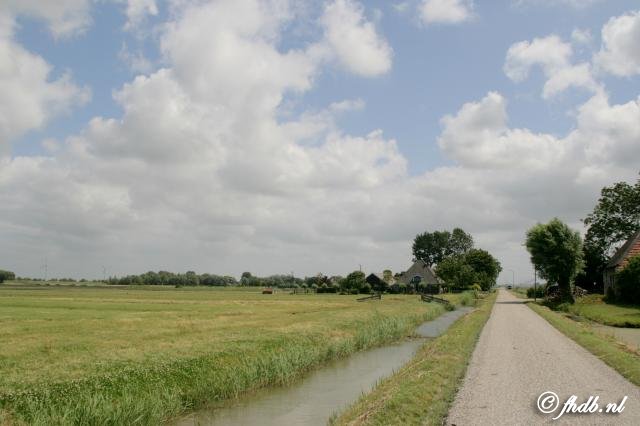 IMG_3454.jpg