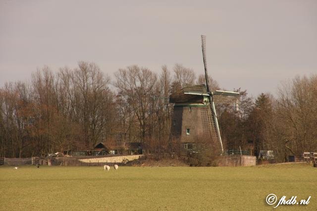 IMG_6228.jpg