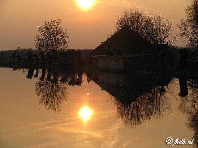 IMG_6877.JPG