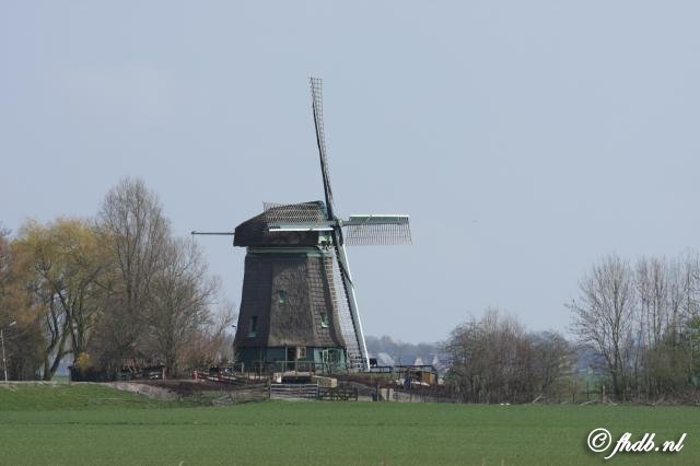 IMG_7291.jpg