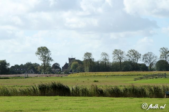 IMG_7428.jpg