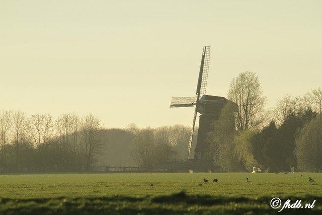 IMG_7436.jpg