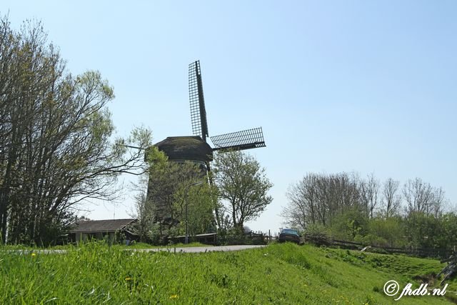 IMG_8399.jpg