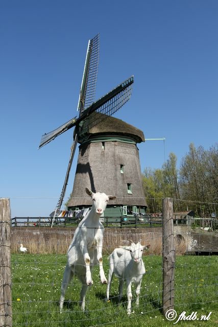 IMG_8410.jpg