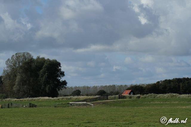 IMG_8770.jpg