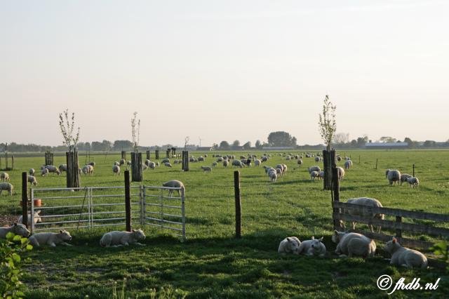 IMG_9205.jpg