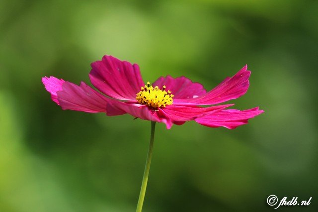 DG8A0629b.jpg