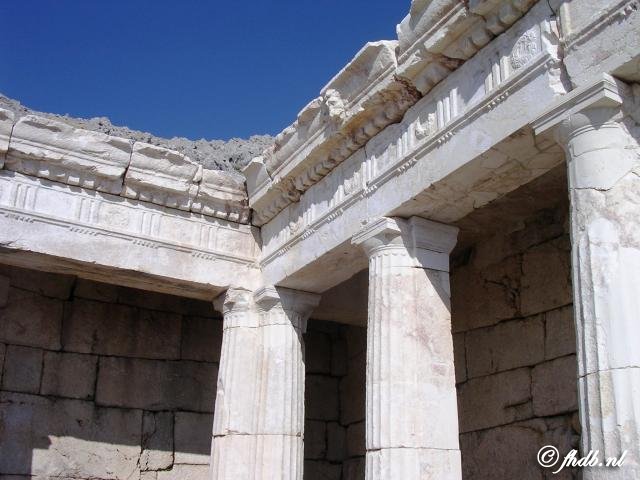 Img0608.jpg
