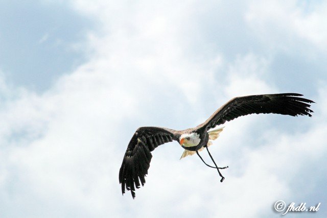 IMG_5799.jpg