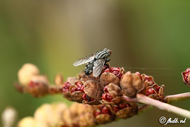 DG8A9333.jpg