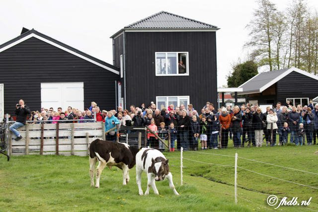 HDBoer_0366.jpg