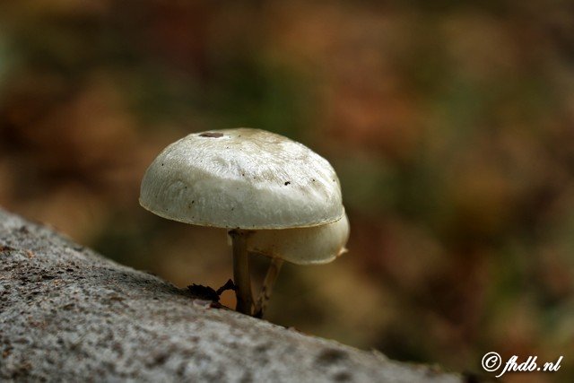 DG8A3622.jpg
