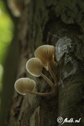 IMG_7298.jpg