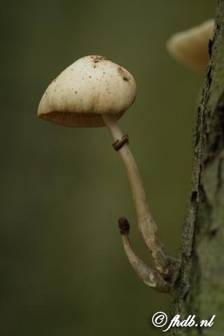 IMG_7414.jpg