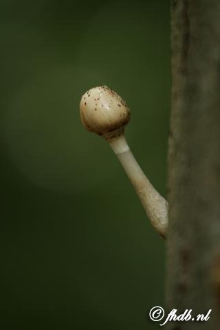IMG_7467.jpg