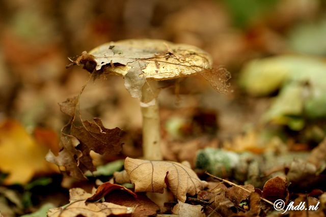 IMG_8736.jpg