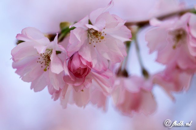 IMG_6327b.jpg