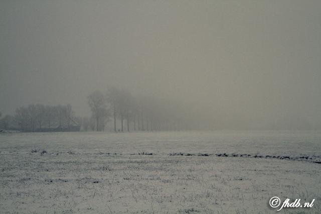 IMG_1144.jpg
