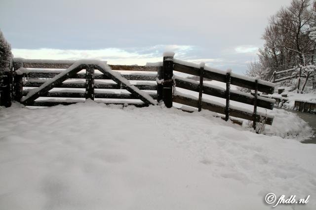 IMG_1554.jpg