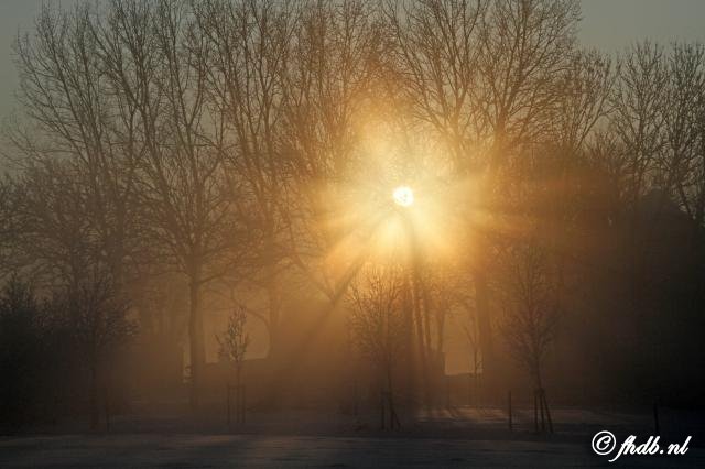 IMG_5396.jpg