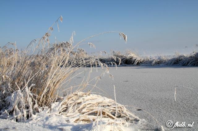 IMG_5636.jpg