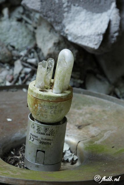 DG8A8501.JPG