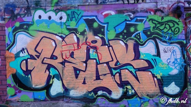DSC00294.jpg