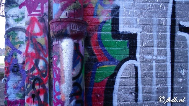 DSC00309.jpg