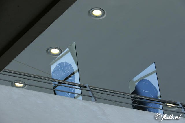 DG8A0849.JPG