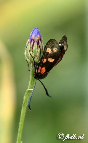 DG8A0760b.jpg