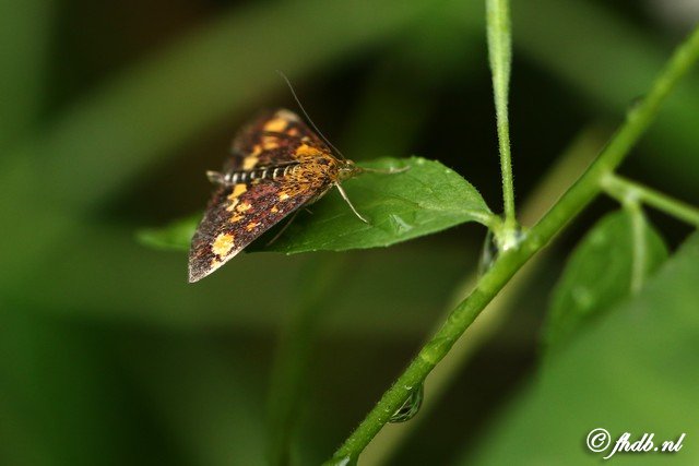 DG8A1299.jpg