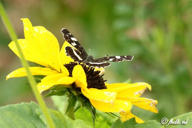 DG8A6437.jpg