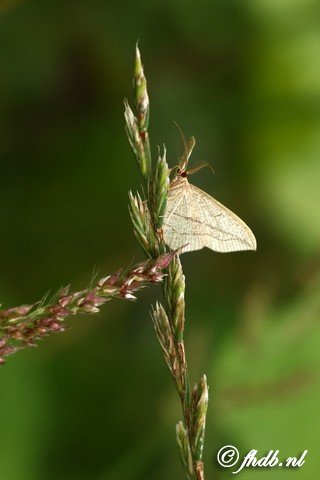DG8A6501b.jpg