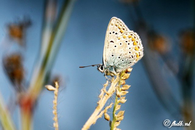 DG8A7793.jpg