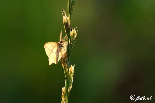 DG8A7843b.jpg