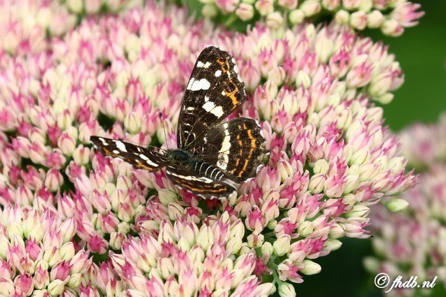DG8A8809.jpg