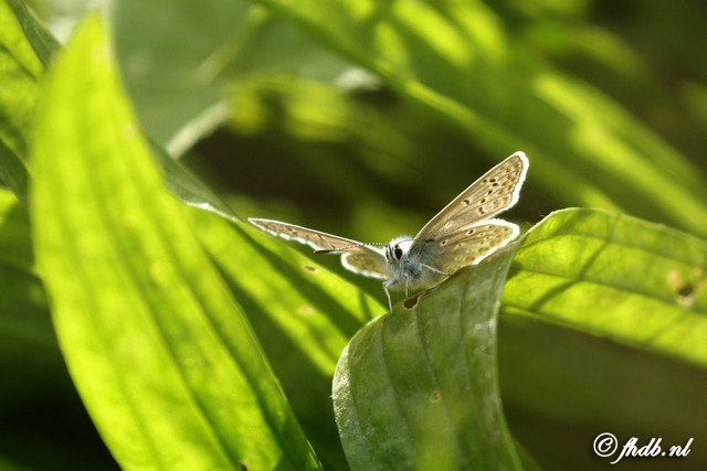 DG8A9256.jpg