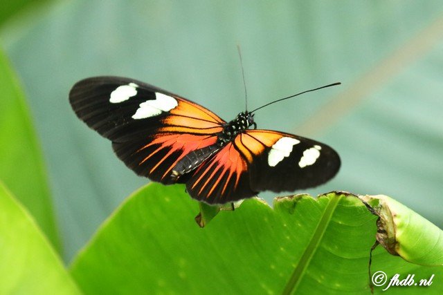 DG8A0413.jpg